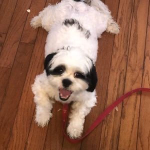 Meet your Posher, Ashleigh